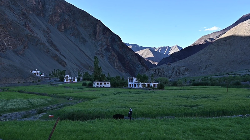 Homes and Hearth: Sustaining Ladakh