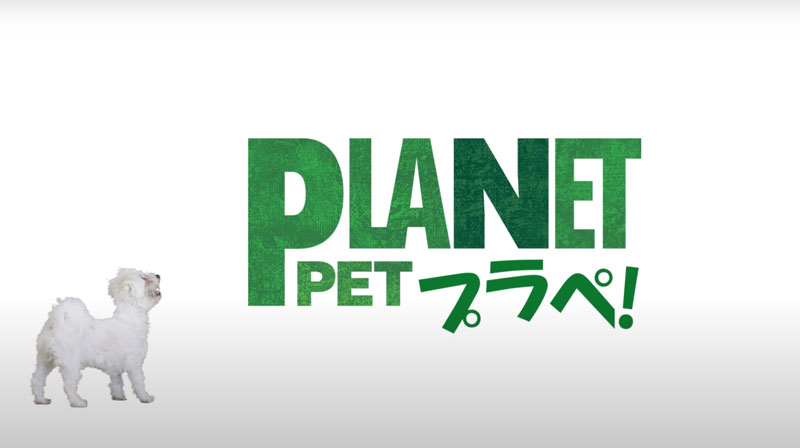 Planet-Pet