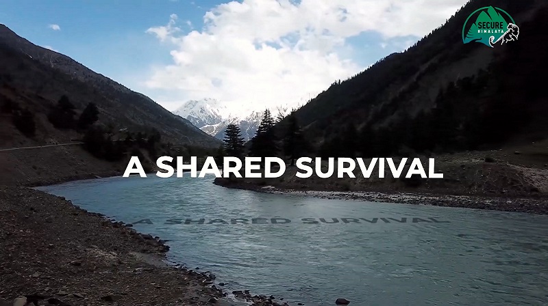 A Shared Survival