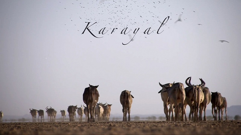 Karayal