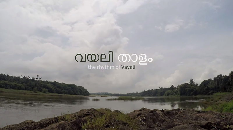 Rhythm Of Vayali