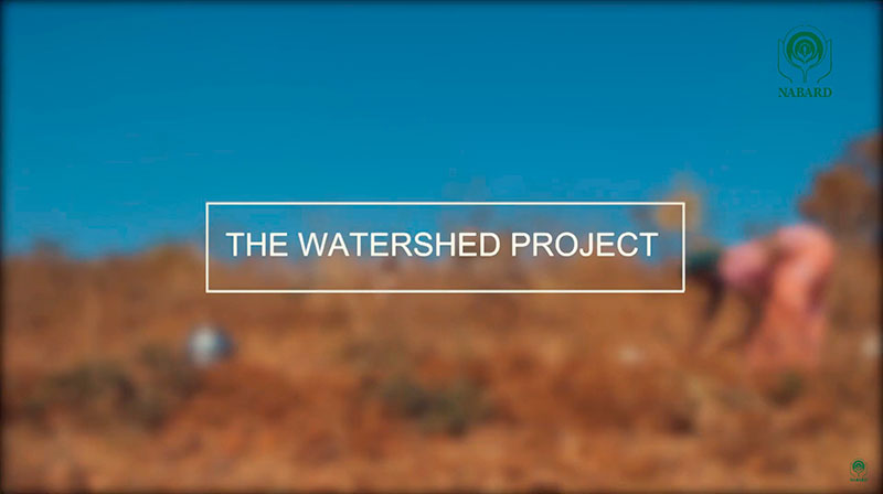 The Watershed Project