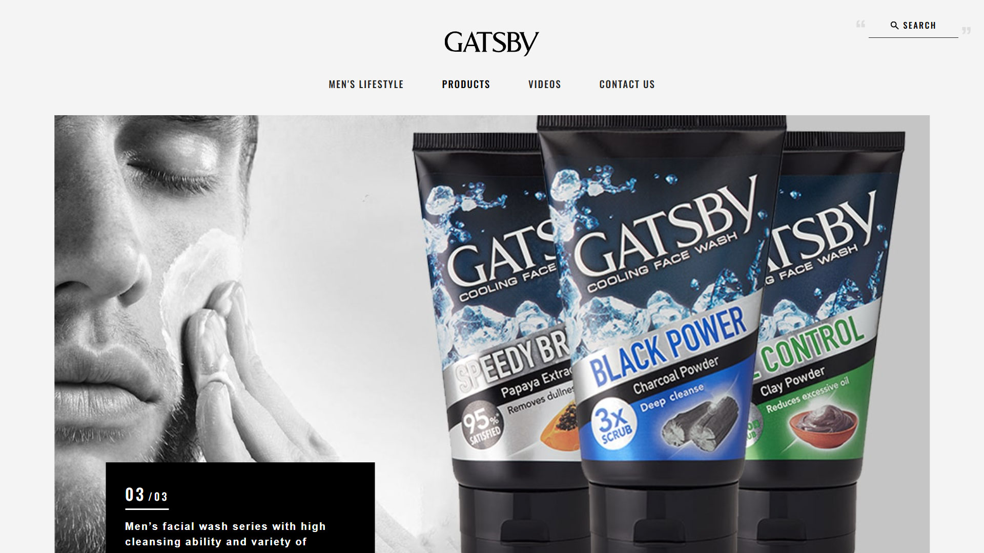 Gatsby India