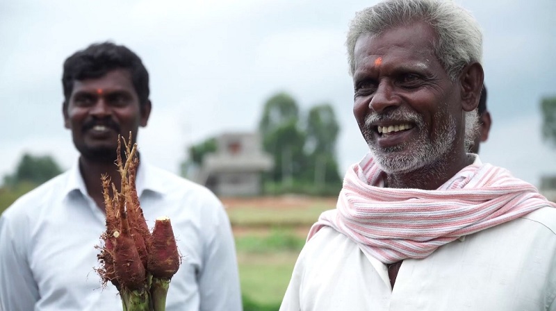 The Organic Story