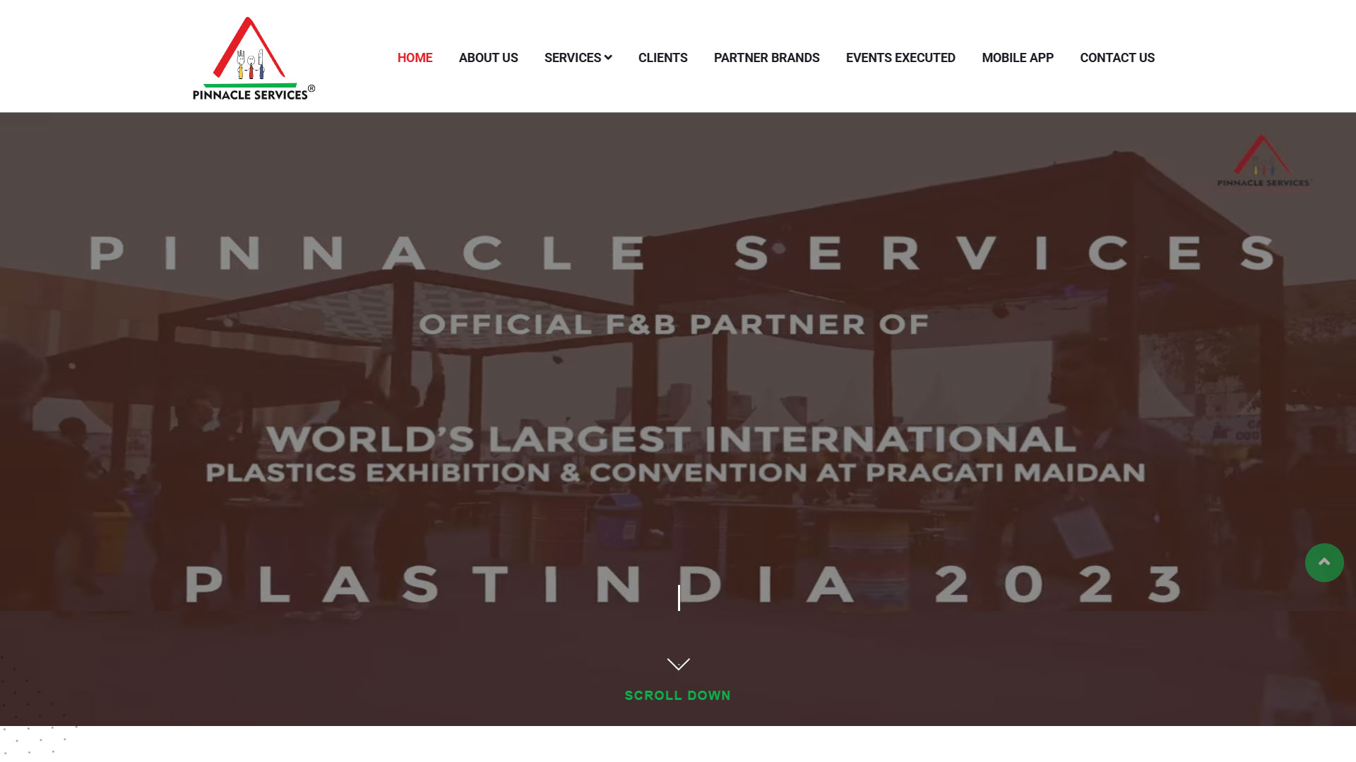 Pinnacle Services