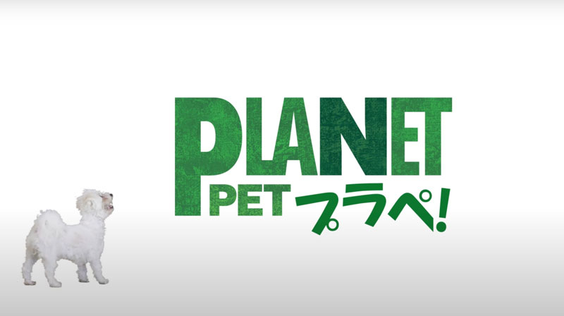 Planet Pet | Amazon Sponosored Ad