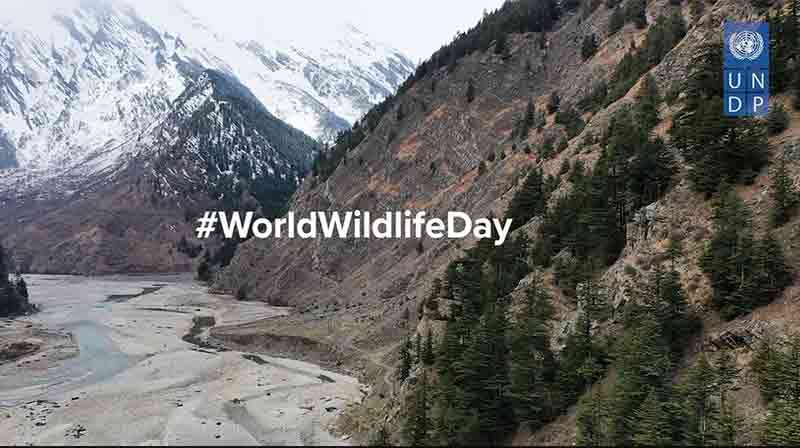 UNDP | Training Parataxonomists for Snow Leopard Conservation